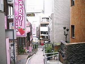B2E8C1FC20029.jpg