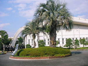 B2E8C1FC20032.jpg