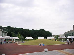 摜 019.jpg
