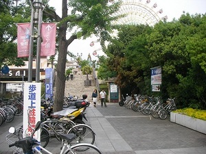 SANY0259.JPG