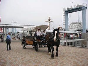 SANY0270.JPG