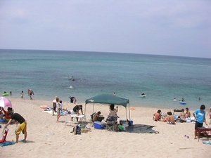 SANY0354.JPG