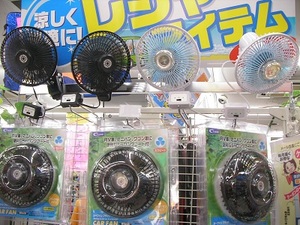 SANY0355.JPG