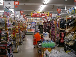 SANY0356.JPG