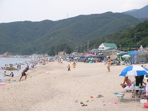 SANY0357.JPG