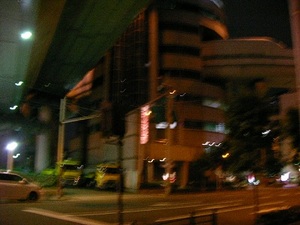 SANY0438.JPG