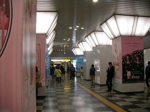 SANY0442.JPG