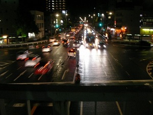 SANY0442.JPG