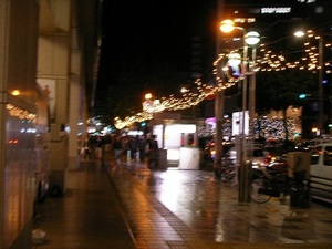 SANY0448.JPG