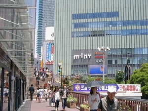 SANY0451.JPG
