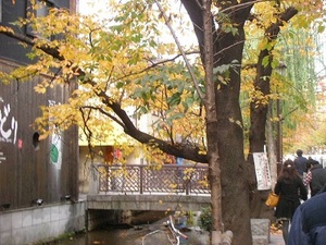 SANY0452.JPG