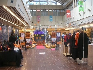 SANY0523.JPG