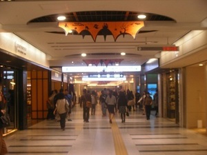 SANY0524.JPG