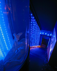 kacx600ps2.jpg